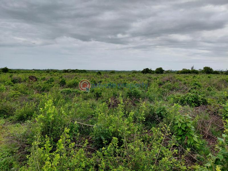Land For Sale Watamu Ocean Front Jacaranda Jacaranda Beach. Watamu Kilifi - 8