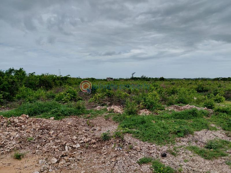 Land For Sale Watamu Ocean Front Jacaranda Jacaranda Beach. Watamu Kilifi - 13