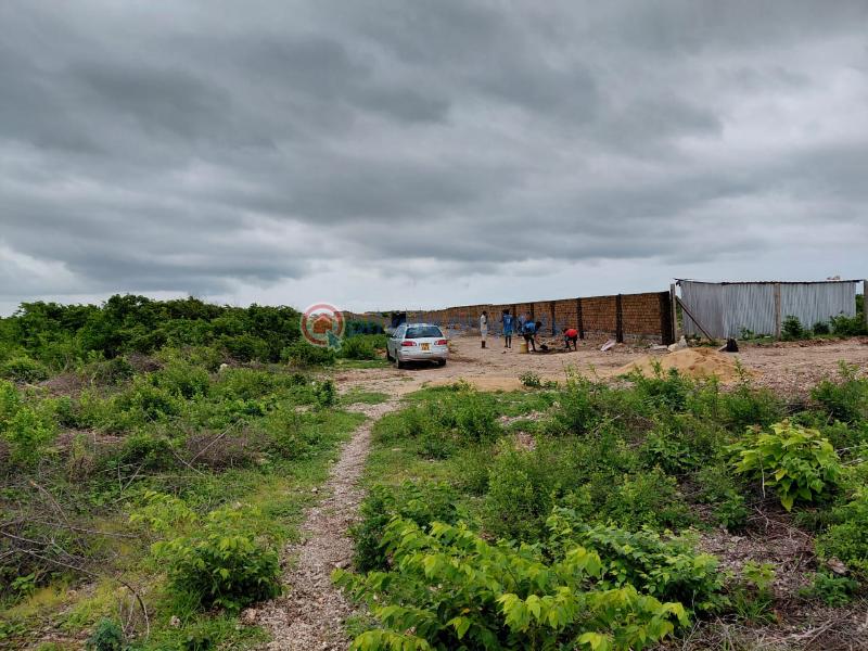 Land For Sale Watamu Ocean Front Jacaranda Jacaranda Beach. Watamu Kilifi - 4