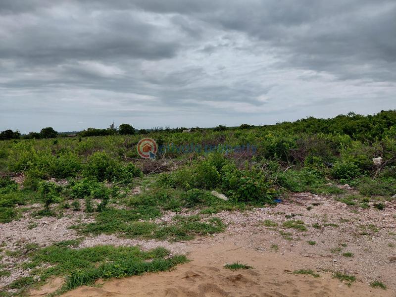 Land For Sale Watamu Beach Front Ocean Front Watamu Kilifi - 0