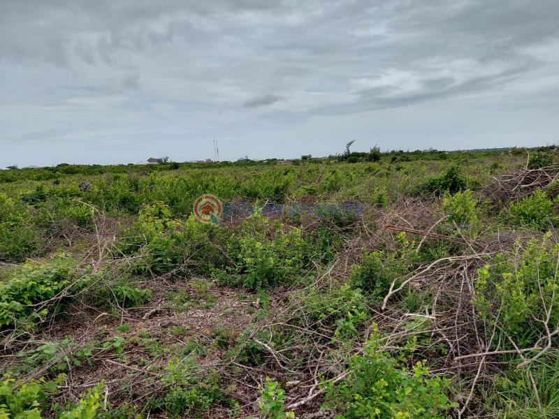 Land For Sale Watamu Ocean Front Jacaranda Jacaranda Beach. Watamu Kilifi - 6