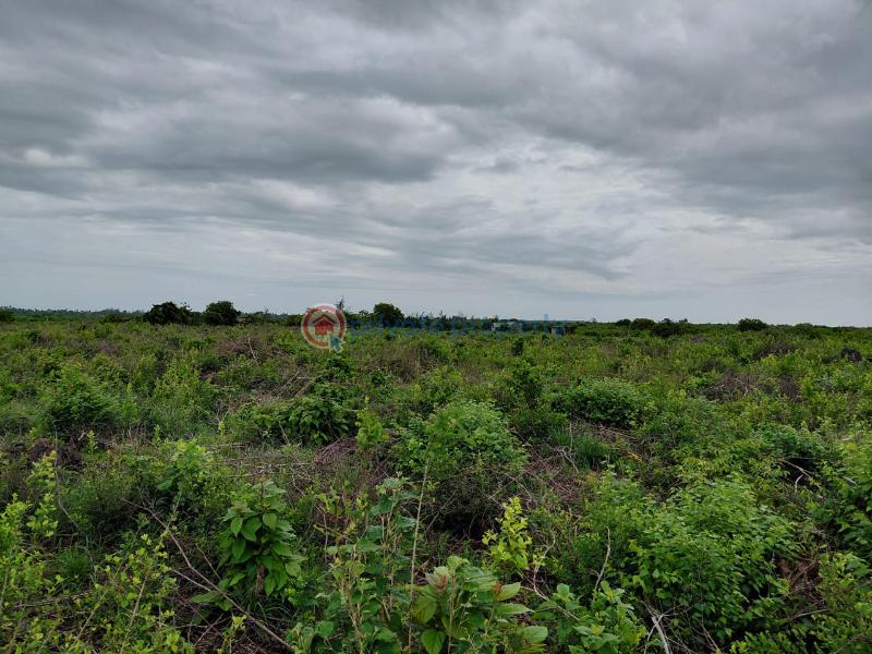 Land For Sale Watamu Beach Front Ocean Front Watamu Kilifi - 9