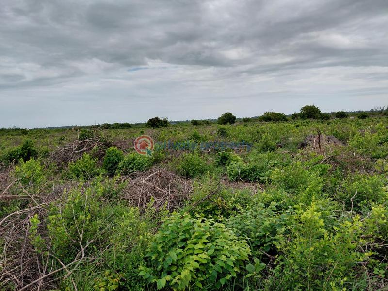 Land For Sale Watamu Ocean Front Jacaranda Jacaranda Beach. Watamu Kilifi - 11