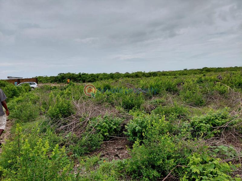 Land For Sale Watamu Ocean Front Jacaranda Jacaranda Beach. Watamu Kilifi - 1