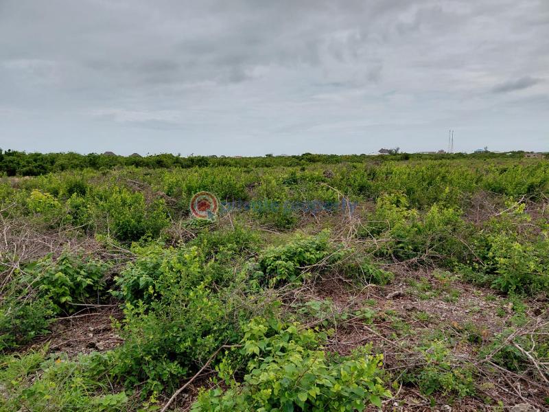 Land For Sale Watamu Beach Front Ocean Front Watamu Kilifi - 12