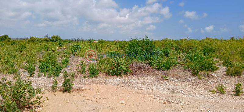 House For Sale Jacaranda Beach. Watamu Kilifi - 2