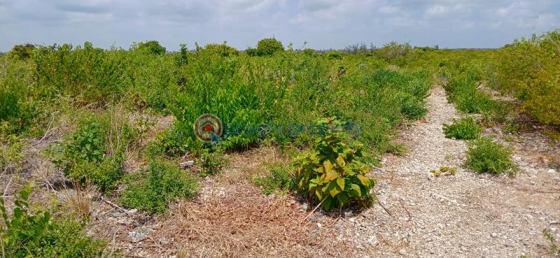 House For Sale Jacaranda Beach. Watamu Kilifi - 5