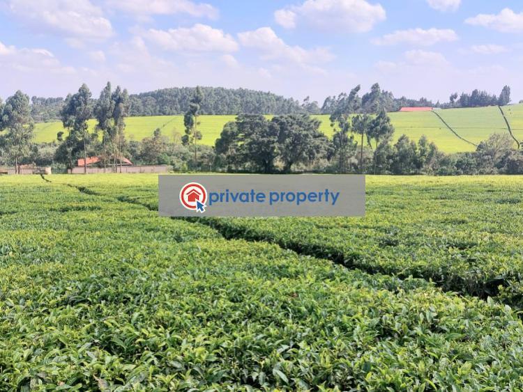 Mixed use Land For Sale &nbsp;tigoni Tigoni Kiambu - 3