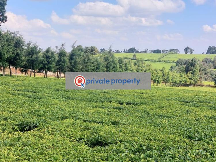 Mixed use Land For Sale &nbsp;tigoni Tigoni Kiambu - 2