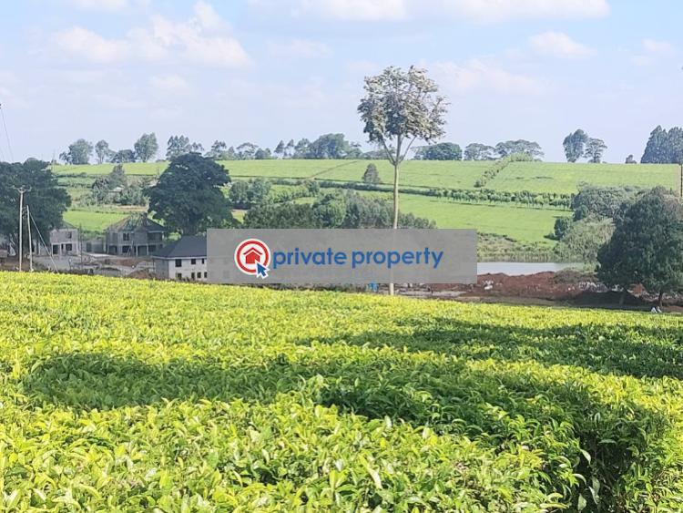 Mixed use Land For Sale &nbsp;tigoni Tigoni Kiambu - 4