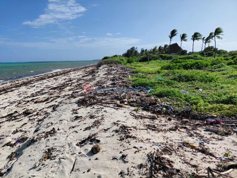 Land For Sale Watamu Ocean Front Ocean Front Watamu Kilifi - 42