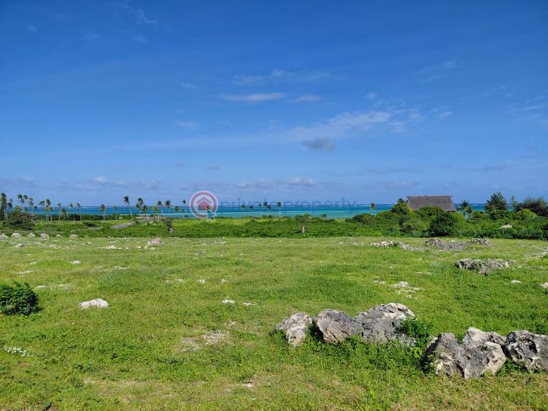 Land For Sale Watamu Ocean Front Watamu Kilifi - 33