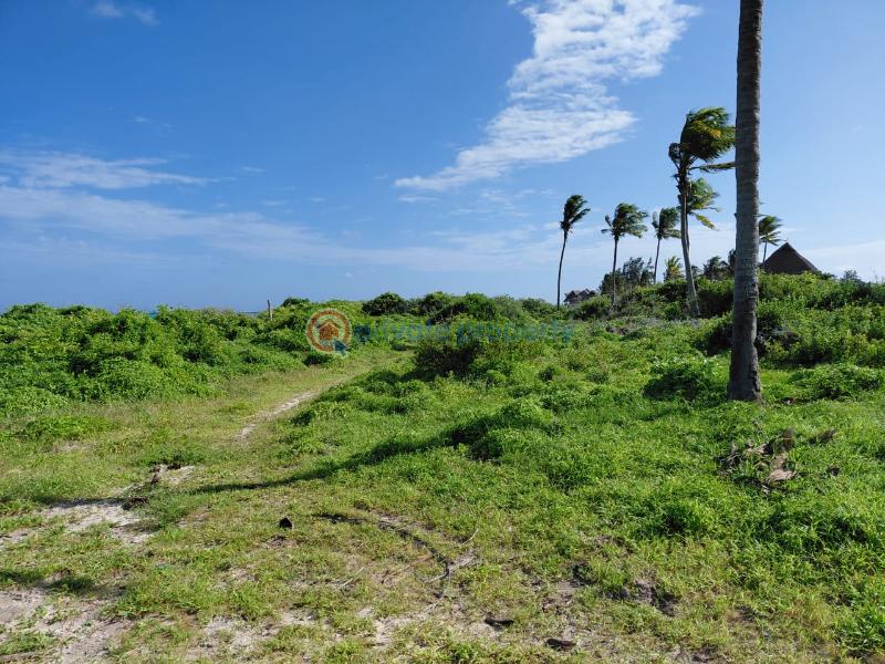 Land For Sale Watamu Ocean Front Watamu Kilifi - 19