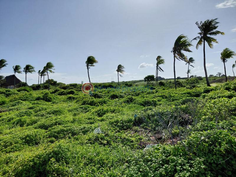 Land For Sale Watamu Ocean Front Watamu Kilifi - 15