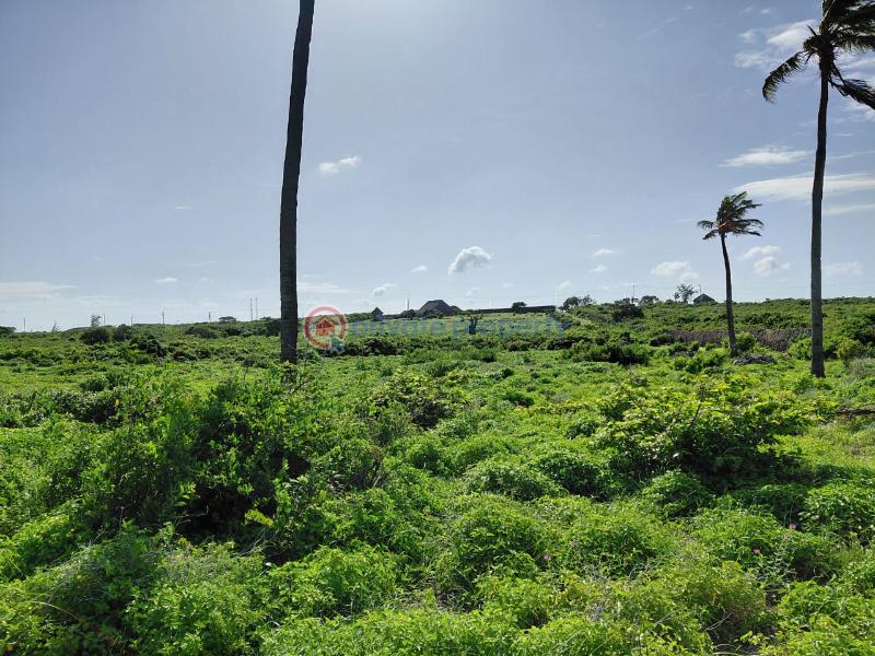 Land For Sale Watamu Ocean Front Ocean Front Watamu Kilifi - 17