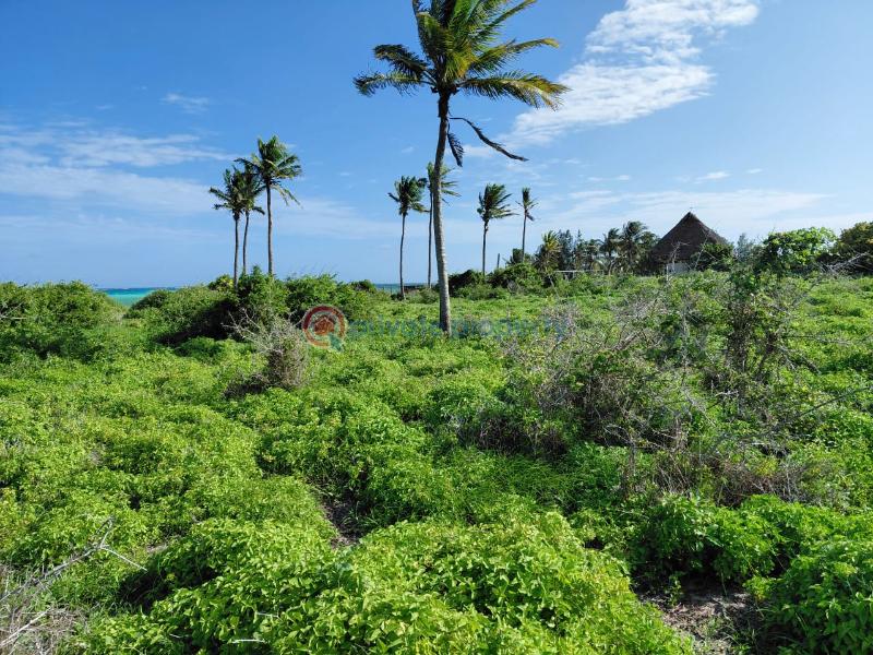Land For Sale Ocean Front Watamu Kilifi - 20