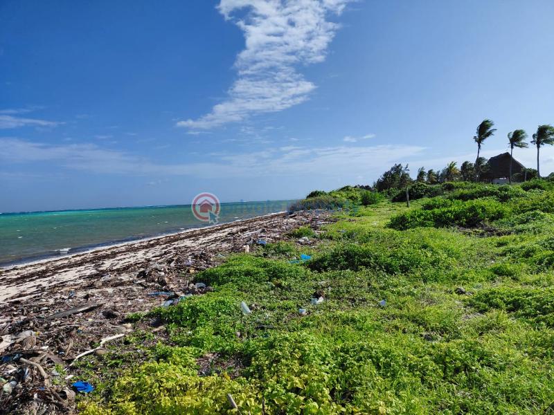 Land For Sale Watamu Ocean Front Ocean Front Watamu Kilifi - 16