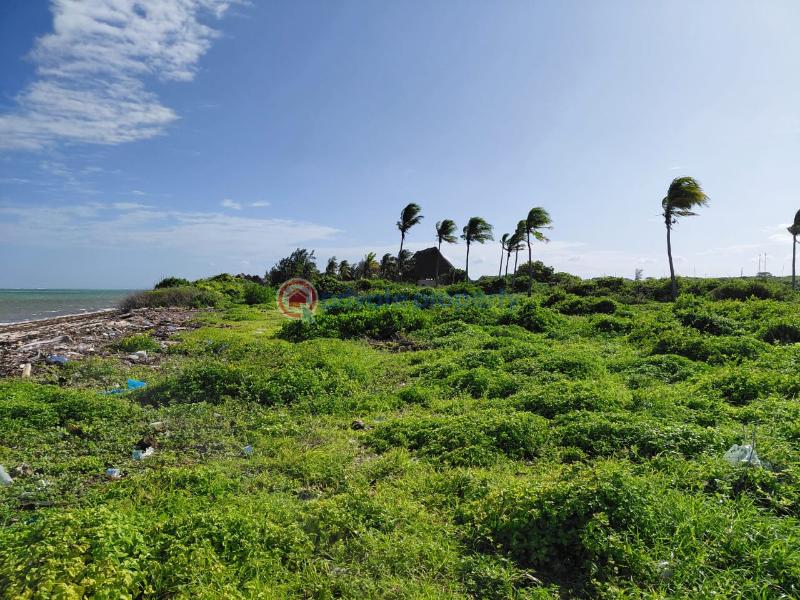 Land For Sale Watamu Ocean Front Watamu Kilifi - 21