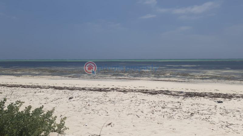 Land For Sale Watamu Area Ocean Front Watamu Kilifi - 13
