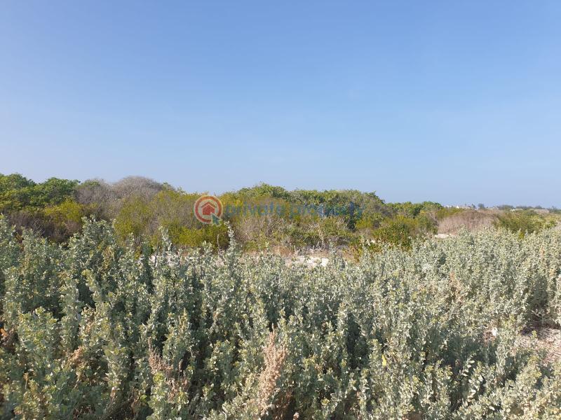 Land For Sale Watamu Area Ocean Front Watamu Kilifi - 4