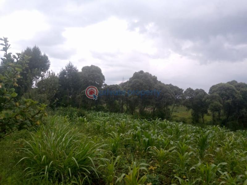 Land For Sale Naiavsha Naivasha East Nakuru - 0
