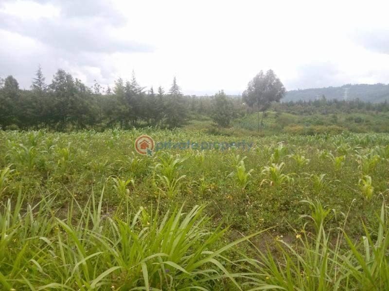 Land For Sale Naiavsha Naivasha East Nakuru - 1
