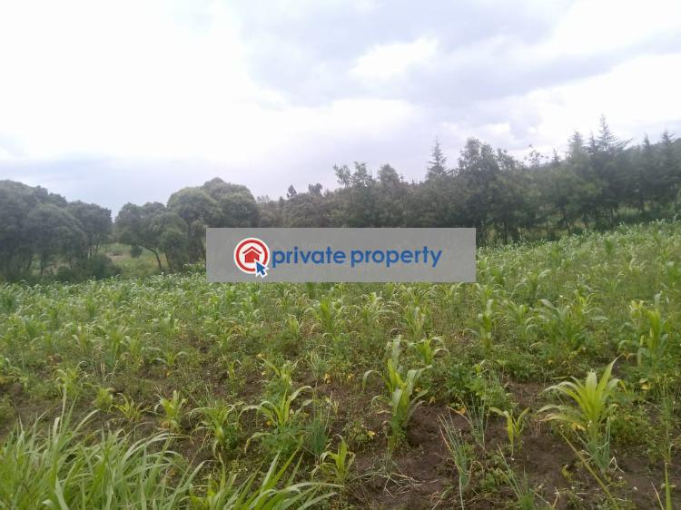 Mixed use Land For Sale &nbsp;naivasha Naivasha East Nakuru - 5