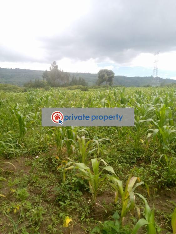 Mixed use Land For Sale &nbsp;naivasha Naivasha East Nakuru - 8