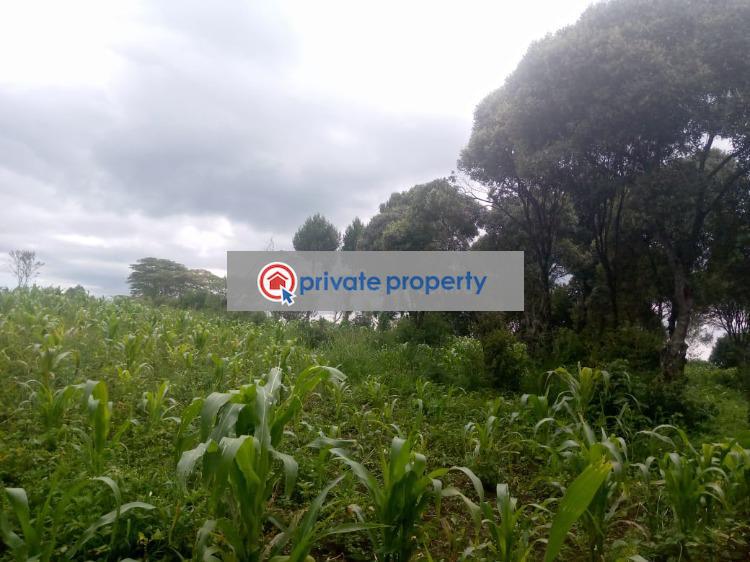 Mixed use Land For Sale &nbsp;naivasha Naivasha East Nakuru - 6