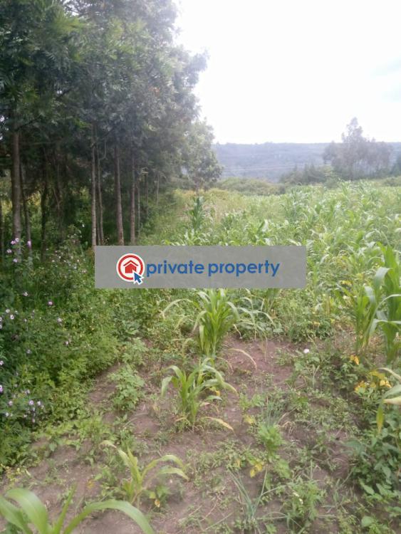 Mixed use Land For Sale &nbsp;naivasha Naivasha East Nakuru - 2