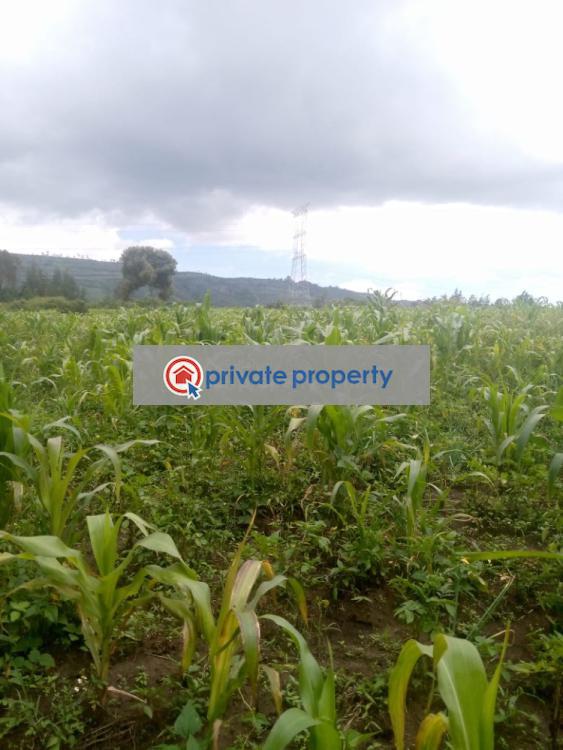 Mixed use Land For Sale &nbsp;naivasha Naivasha East Nakuru - 9