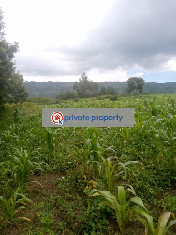 Mixed use Land For Sale &nbsp;naivasha Naivasha East Nakuru - 4
