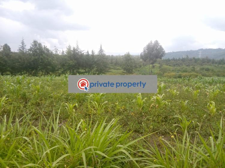 Mixed use Land For Sale &nbsp;naivasha Naivasha East Nakuru - 1