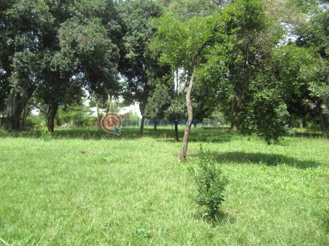 Land For Sale Hardy, Karen Karen Nairobi - 7