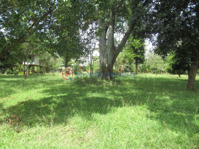 Land For Sale Hardy, Karen Karen Nairobi - 14