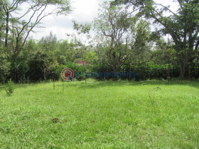 Land For Sale Hardy, Karen Karen Nairobi - 3