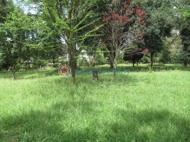 Land For Sale Hardy, Karen Karen Nairobi - 12