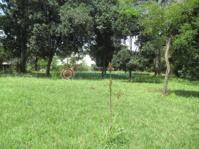Land For Sale Hardy, Karen Karen Nairobi - 10