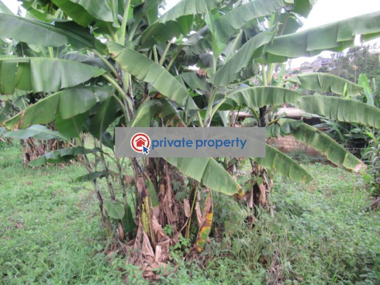 Land For Sale &nbsp;muthiga Kinoo Kiambu - 3