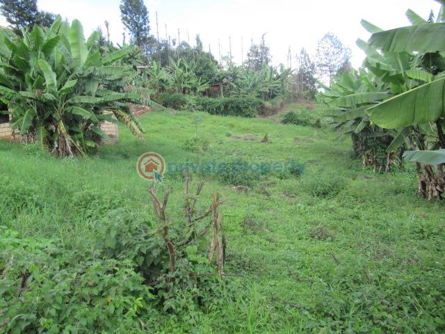 Land For Sale Muthiga Kinoo Kiambu - 6