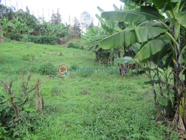 Land For Sale Muthiga Kinoo Kiambu - 3
