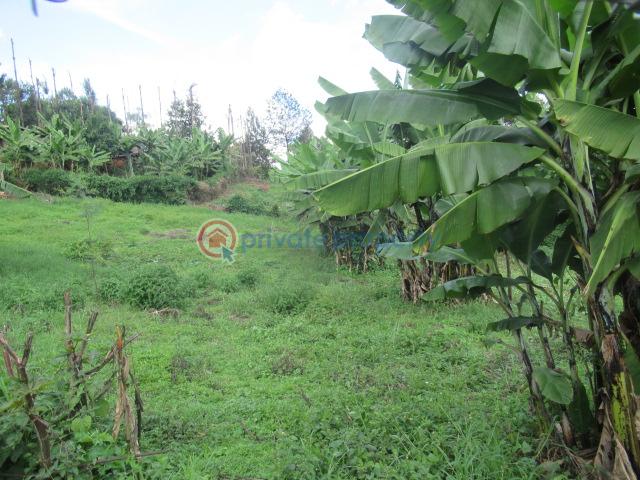 Land For Sale Muthiga Kinoo Kiambu - 5