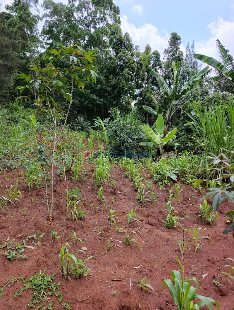 Land For Sale Kerarapon. Ngong Kajiado - 2