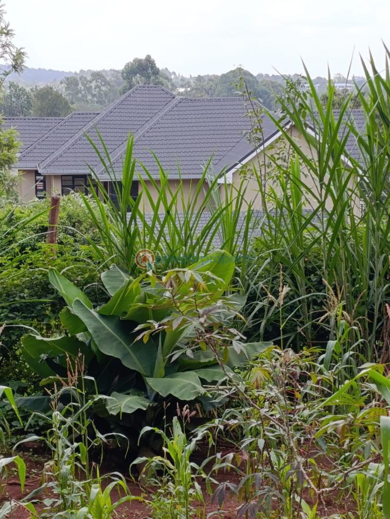 Land For Sale Kerarapon. Ngong Kajiado - 0