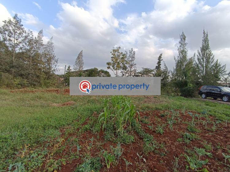 Residential Land For Sale &nbsp;ridgeways Roysambu Nairobi - 2