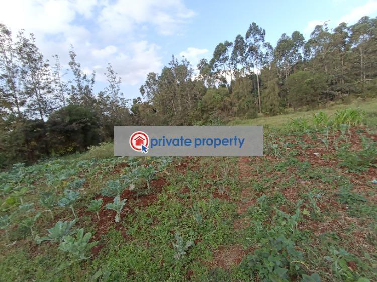 Residential Land For Sale &nbsp;ridgeways Roysambu Nairobi - 5