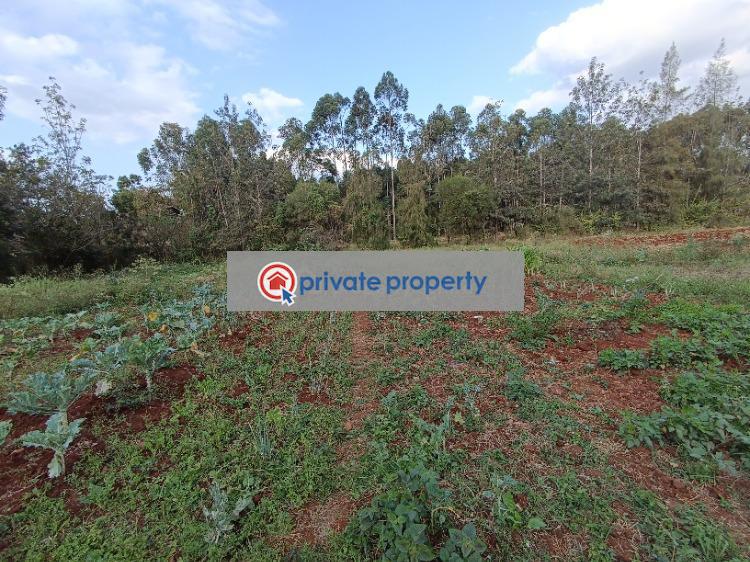 Residential Land For Sale &nbsp;ridgeways Roysambu Nairobi - 6