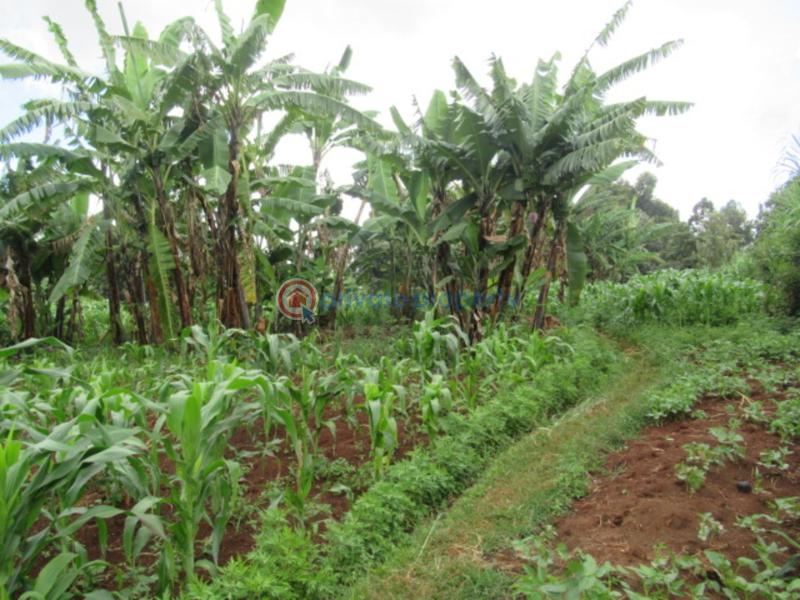 Land For Sale Gacharage Junction ruaka Kiambu - 1