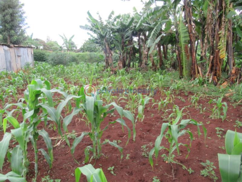 Land For Sale Gacharage Junction ruaka Kiambu - 5