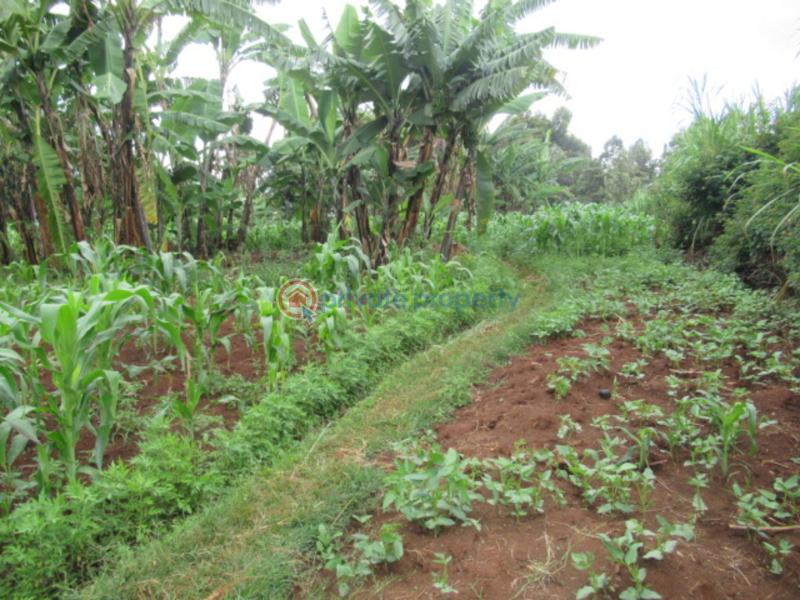 Land For Sale Gacharage Junction ruaka Kiambu - 3
